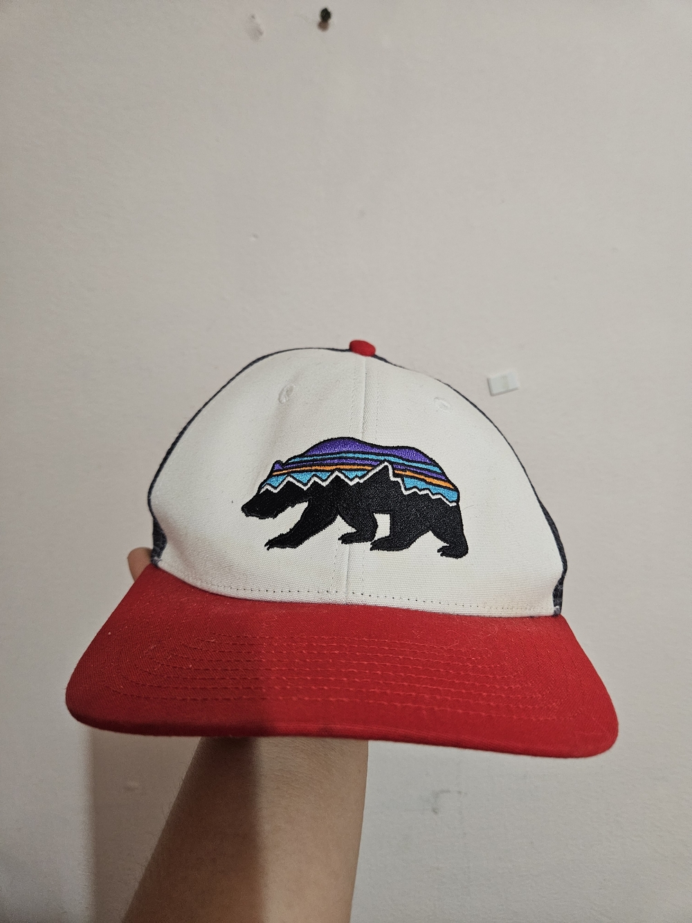 Patagonia Fitz Bear Hat With Snap